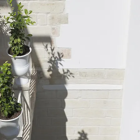 Palazzo Dei Dondoli Lecce